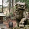 白山平泉寺にて１