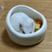 ペレットに夢中