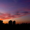 sunset color