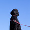 青と黒