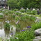 菖蒲園