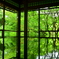 瑠璃光院