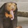 僕つかれちゃった・・