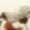 陽光