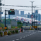 JAL ミャクミャクJET