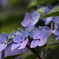 6月