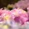 Pink in Silence