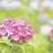明日は、明るい日に…