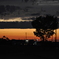 June Twilight