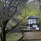 通路なう
