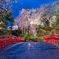弘前公園の夜桜②