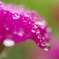 雨滴レンズ