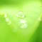 raindrop