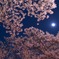 上野公園の夜空