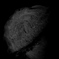 DSC07455-2bwSLK