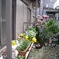 5月2日 全景