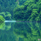 深緑のあおき流れ