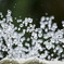 水滴
