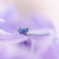 DSC09080