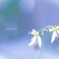 あなたにエールを♫