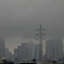 東京都庁は雲の中