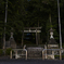 神社に舞う