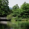 金鱗湖(別府市湯布院)
