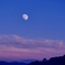 東の空の夕焼けと月