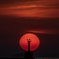 貴重な夕陽