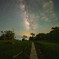 go my own way