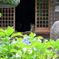 寺務所でまったりと