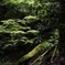 山歩き