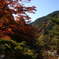 昇仙峡紅葉