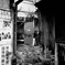 迷いたい町（6）