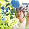 紫陽花の初夏