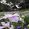 DSC01111