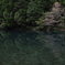 午後の水鏡