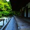 新緑の京都天授庵　⑥。。。！