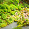揚谷寺　09
