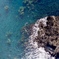 海