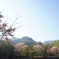 DSC01667