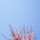 DSC01752