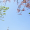 DSC01754