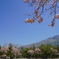 DSC01756