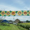 DSC00219
