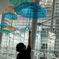pick an umbrella