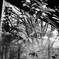 静寂の植物園 #07