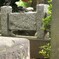 鳩