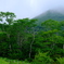 霧降高原