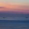 Tokyo Bay